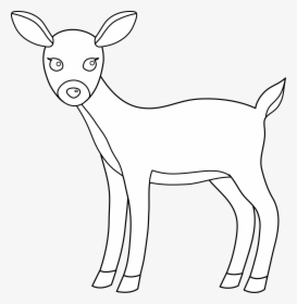 Mother Deer Nursing Her Fawn Vector Clipart - Cute Doe Clipart Black And White, HD Png Download, Free Download