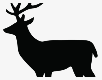 Female Deer Silhouette Png, Transparent Png, Free Download