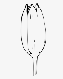Flower Bud Clipart Black And White, HD Png Download, Free Download