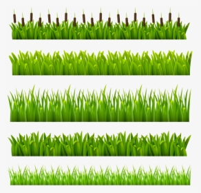 Флора, Зеленая Трава, Green Grass, Grünes Gras, Flore, - Green Border, HD Png Download, Free Download