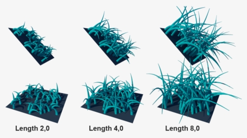 Configuracao Fur Para Tapetes, HD Png Download, Free Download