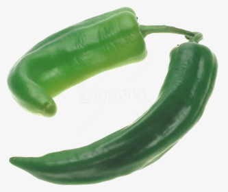 Free Png Download Green Pepper Png Images Background - Jalapeno Png, Transparent Png, Free Download