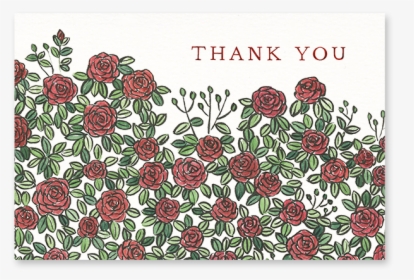 Roses Thanks Post-card - Zinnia, HD Png Download, Free Download