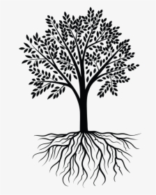 Tree Vector Black White - White Tree Vector Png, Transparent Png, Free Download