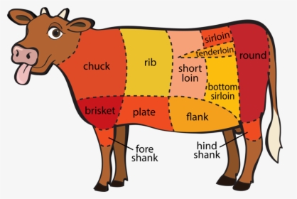 Beef Vector Butcher Diagram - Different Meats On A Cow, HD Png Download, Free Download