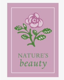 Nature"a Beauty Logo Png Transparent - Greeting Card, Png Download, Free Download