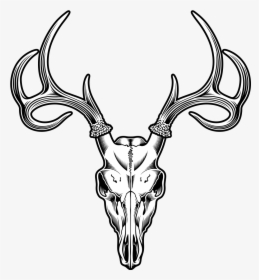 Sheep Tattoo Skull Deer Illustration Drawing Clipart - Deer Skull Clipart, HD Png Download, Free Download