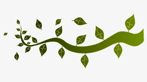 Transparent Folhas Png - Vector Tree Branches Png, Png Download, Free Download