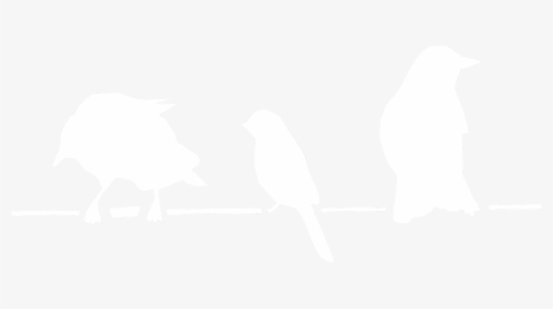 Adã©lie Penguin, HD Png Download, Free Download