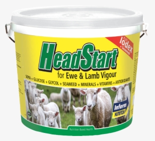 Headstartsheepbucket - Goat - Sheep Vitamins And Minerals, HD Png Download, Free Download