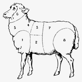 Transparent Farmer Clipart Black And White - Old Sheep Clipart Black And White, HD Png Download, Free Download