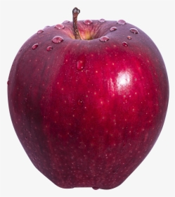 Big Red Apple Png Image - Parts Of The Plants Fruits, Transparent Png, Free Download