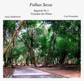 Parque Das Dunas Em Natal, HD Png Download, Free Download