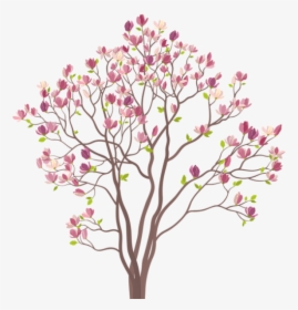 Transparent Arvore Png - Magnolia Tree Illustration, Png Download, Free Download
