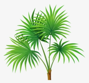 Plant Clipart Transparent Background, HD Png Download, Free Download
