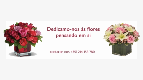 Dedicamo-nos Às Flores - Love Flower Red, HD Png Download, Free Download
