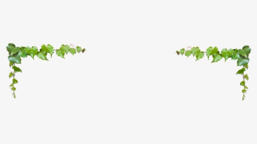Clip Art Bordas De Folhas - Tree, HD Png Download, Free Download