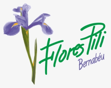 Flores Pili Madrid - Iris Versicolor, HD Png Download, Free Download
