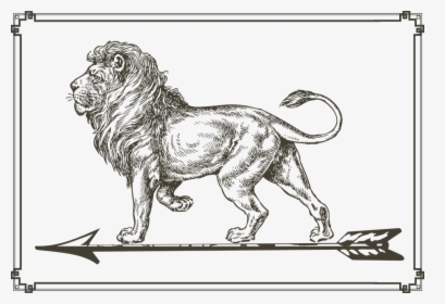 Lion, Arrow, Standing, Picture, Frame - Lion Drawing Png, Transparent Png, Free Download