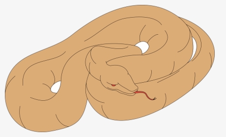 Snake Sleeping Clipart, HD Png Download, Free Download