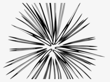 Fireworks Clipart Cracker - Transparent Fireworks Clipart Black And White, HD Png Download, Free Download