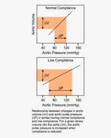 Arterial Compliance And Pulse Pressure, HD Png Download, Free Download