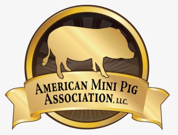 American Mini Pig Association, HD Png Download, Free Download