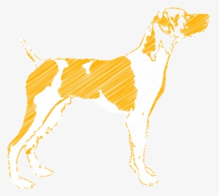 Companion Dog, HD Png Download, Free Download
