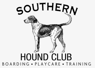 Valdosta Dog Boarding - English Foxhound, HD Png Download, Free Download