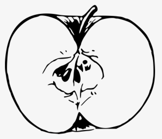 Apple Clipart Png Black And White Jpg Library Library - Cut Apple Clipart Black And White, Transparent Png, Free Download