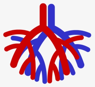 Circulatory System Icon , Png Download - Circulatory System Logo, Transparent Png, Free Download