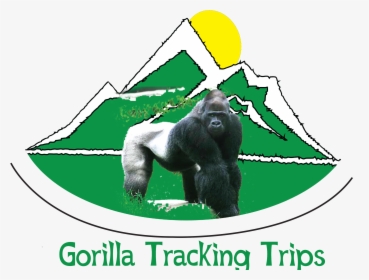 Gorilla Tracking Trips - Silverback Gorilla, HD Png Download, Free Download