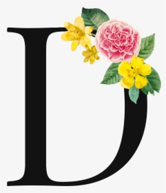 Letter D Png With Flowers, Transparent Png, Free Download