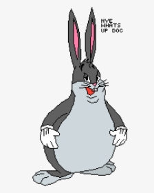 Big Chungus Clear Background, HD Png Download, Free Download