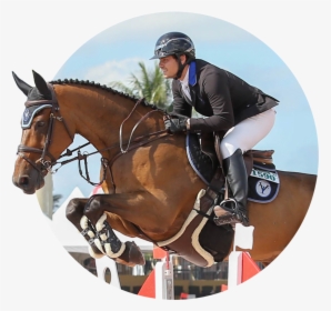 Teddy Vlock Testimonial - Equitation, HD Png Download, Free Download