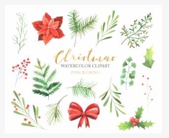 Watercolor Christmas Floral Clipart Example Image - Floral Design, HD Png Download, Free Download