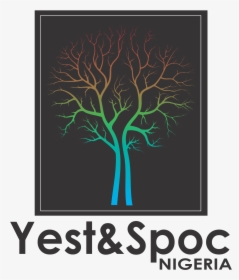 Tree, HD Png Download, Free Download