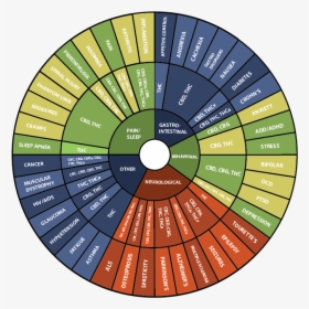 Benefits Of Each Cannabinoid, HD Png Download, Free Download