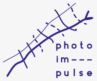 Photo Impulse Logo - Plot, HD Png Download, Free Download