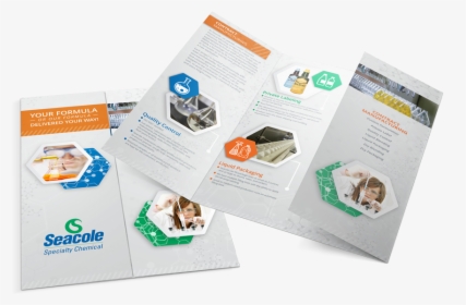 Seacole Gate Fold Brochure Mockup - Flyer, HD Png Download, Free Download