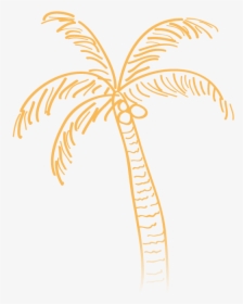 Palm Tree Doodle Transparent, HD Png Download, Free Download