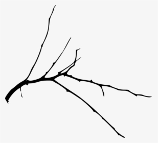 Simple Tree Branch - Ast Png, Transparent Png, Free Download