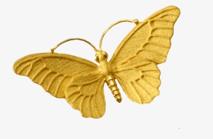 Butterfly Gold Png, Transparent Png, Free Download