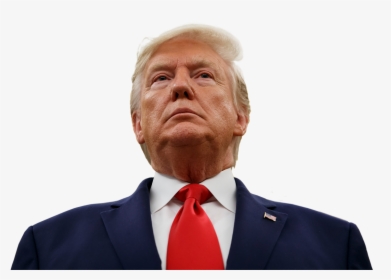 Trump At The World Series, HD Png Download, Free Download