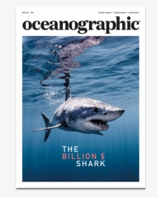 Shark Magazine, HD Png Download, Free Download