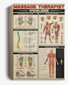 1 - 5" - Massage Therapist Knowledge, HD Png Download, Free Download