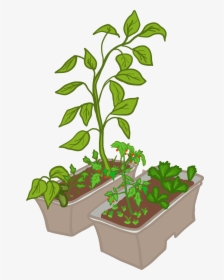 Compost Soil Compost Clipart, HD Png Download, Free Download
