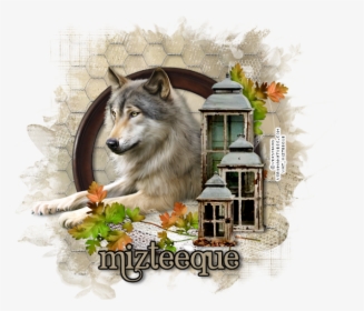 Czechoslovakian Wolfdog, HD Png Download, Free Download