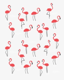 Greater Flamingo, HD Png Download, Free Download