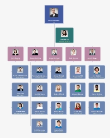 Sales Company Photo Org Chart - Sales Company Organizational Structure, HD Png Download, Free Download